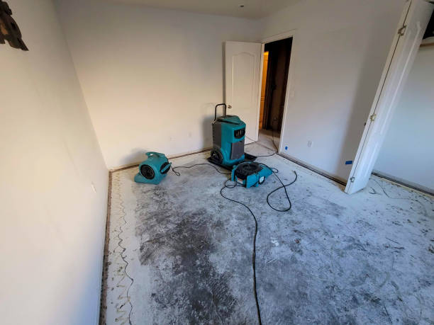 Best Local water damage restoration  in Charlotte, NC