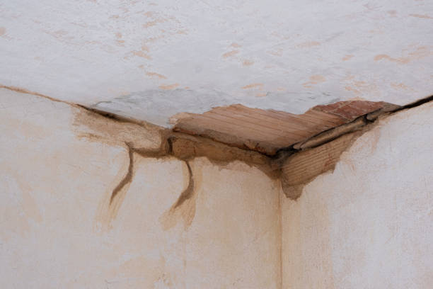 Best Water damage repair service  in Charlotte, NC