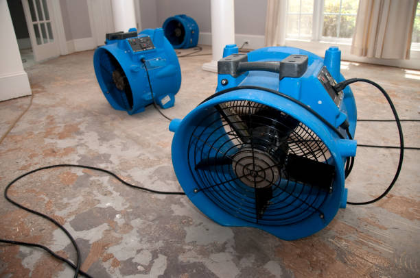 Best Flood damage cleanup  in Charlotte, NC