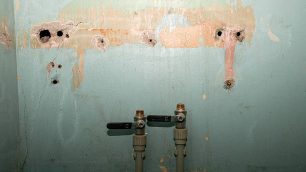 Best Water damage cleanup near me  in Charlotte, NC