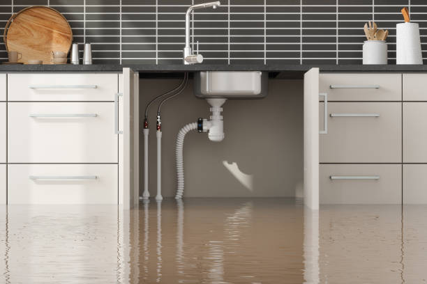 Best Ceiling water damage repair  in Charlotte, NC