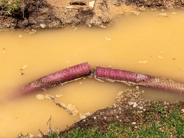 Best Carpet water damage restoration  in Charlotte, NC