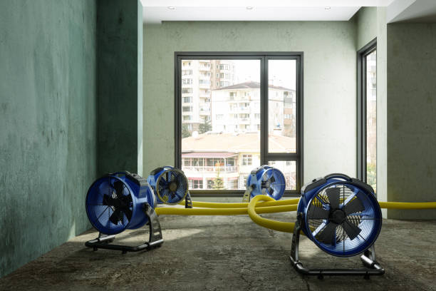 Best Fire Damage Restoration  in Charlotte, NC